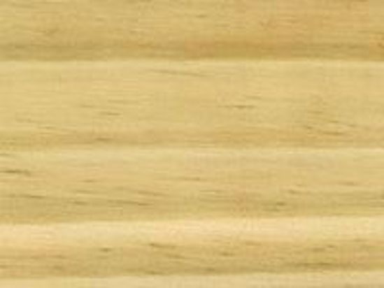 Radiata Pine
