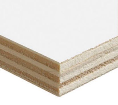 Populieren Interieur Gegrond - 250x122 cm