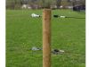 Grenen paal geimpregneerd - ø 16 cm