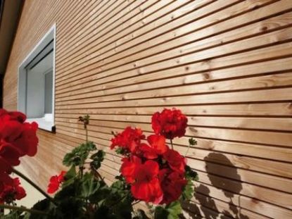 Thermo Grenen select triple profiel geschaafd - 20x125 mm